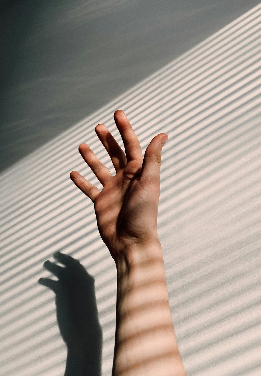 Palm Reflexology Interactive Course